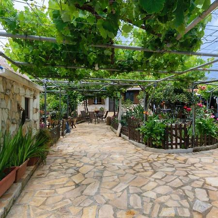 Dimitris'S Country House Agia  Exterior photo