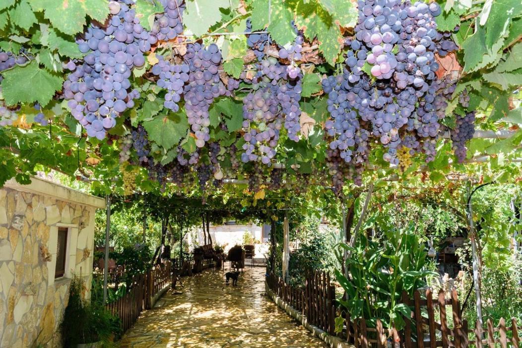 Dimitris'S Country House Agia  Exterior photo