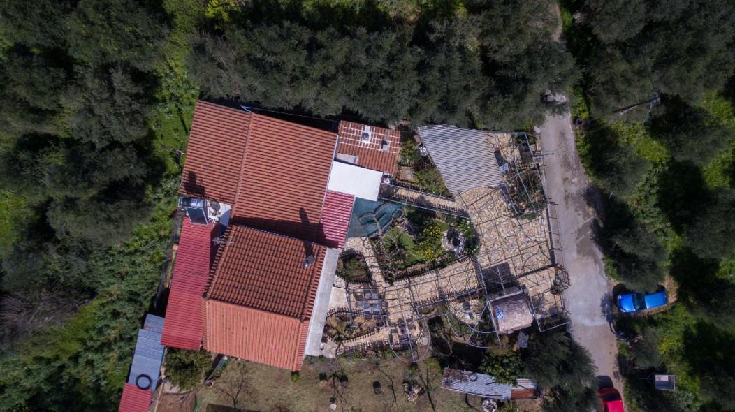 Dimitris'S Country House Agia  Exterior photo