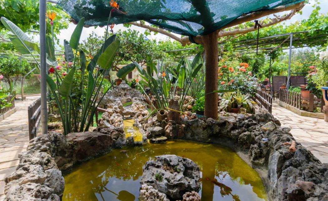 Dimitris'S Country House Agia  Exterior photo