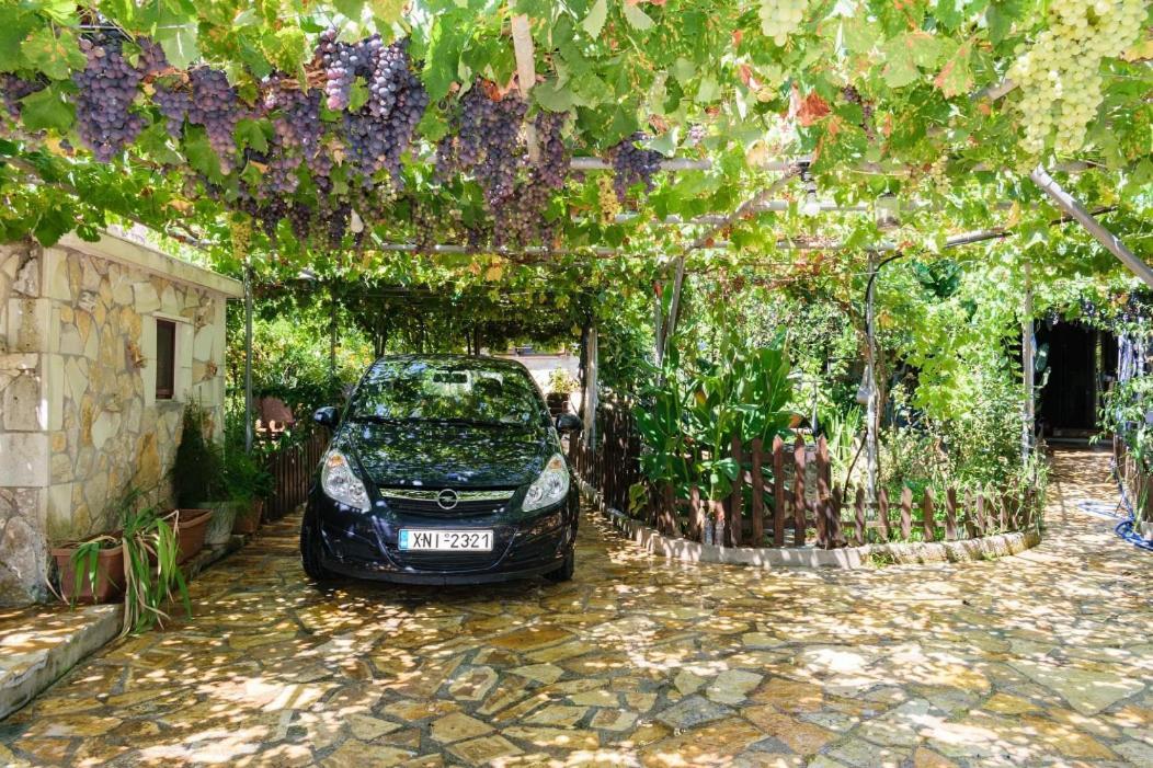 Dimitris'S Country House Agia  Exterior photo