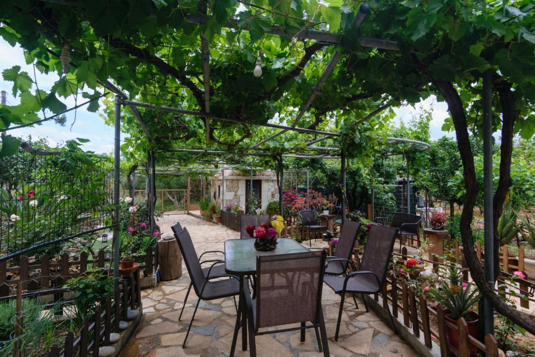 Dimitris'S Country House Agia  Exterior photo