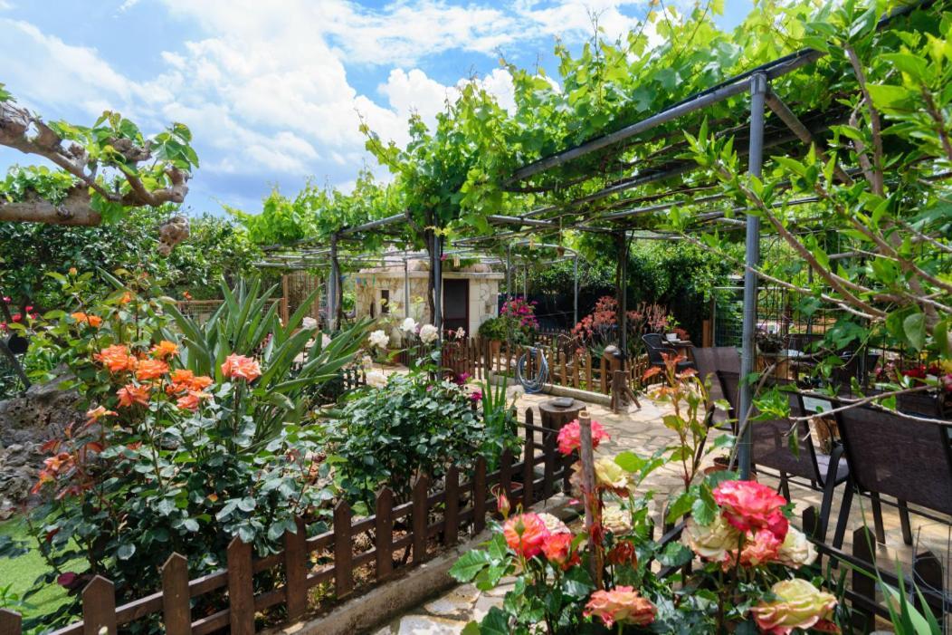 Dimitris'S Country House Agia  Exterior photo