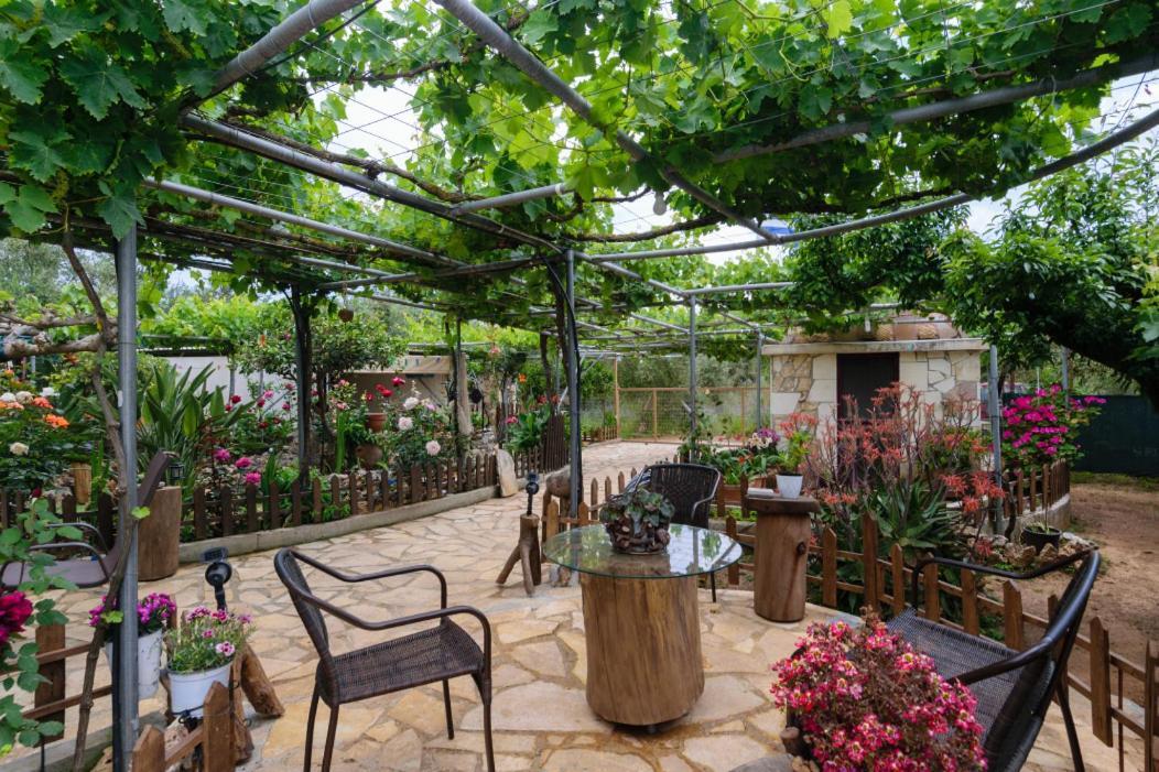 Dimitris'S Country House Agia  Exterior photo