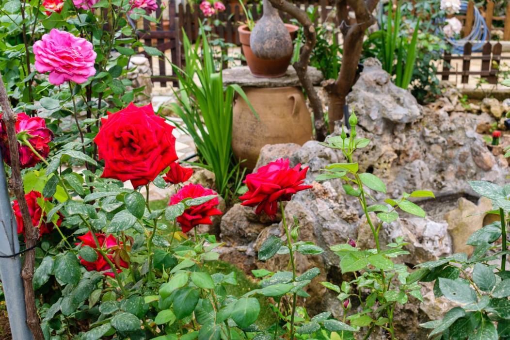 Dimitris'S Country House Agia  Exterior photo