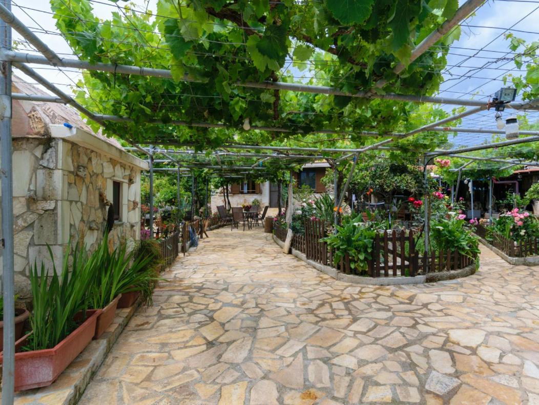 Dimitris'S Country House Agia  Exterior photo